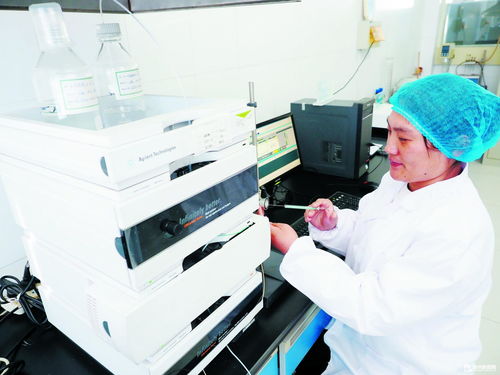 德州瑞康生物科技有限公司 高端產(chǎn)品暢銷海外